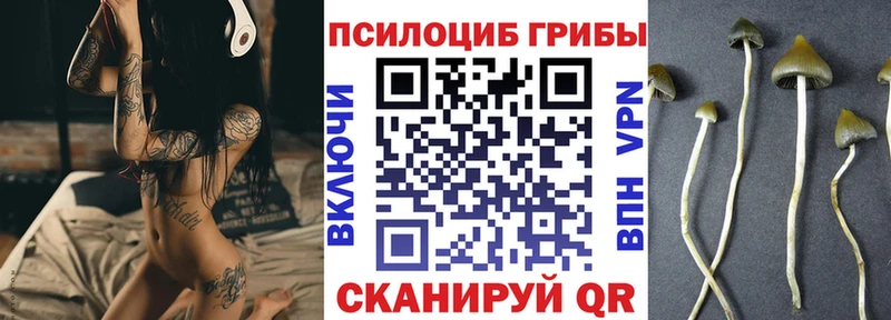 Псилоцибиновые грибы мухоморы  Камышин 